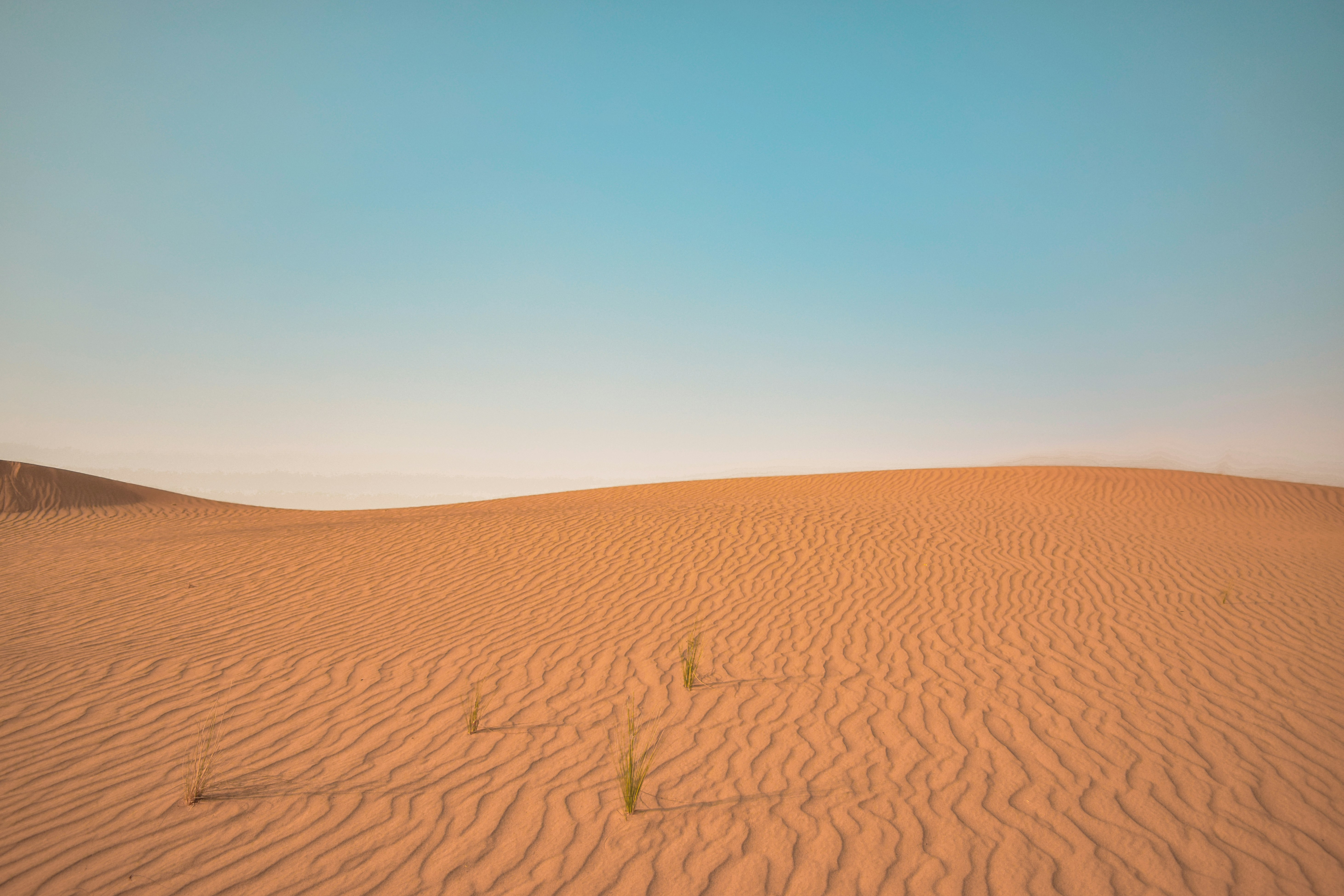 brown sand under blue sky during daytime